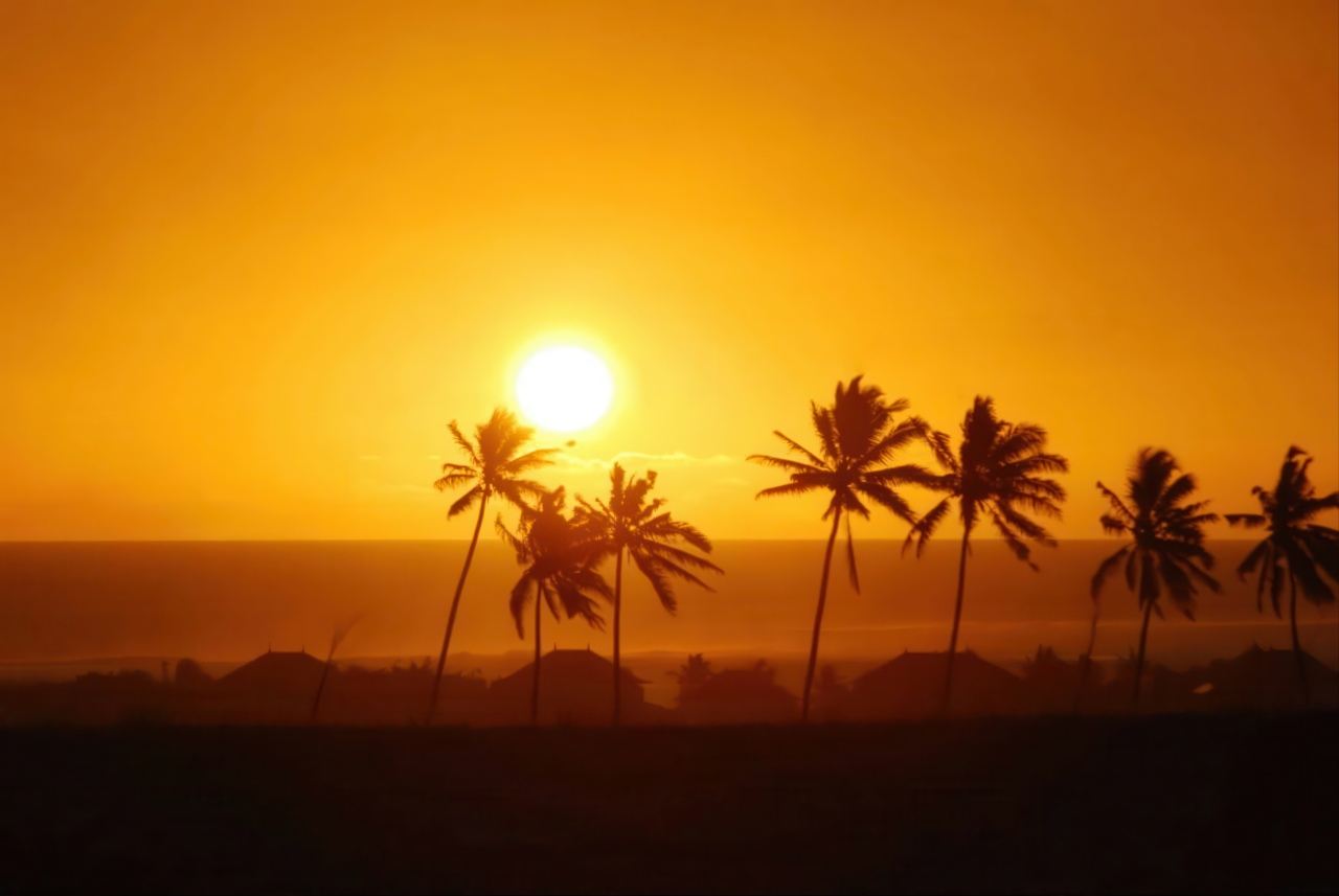 A spectacular sunset paints the sky in vibrant orange and yellow tones as silhouetted palm trees sway above a coastal settlement near the water.