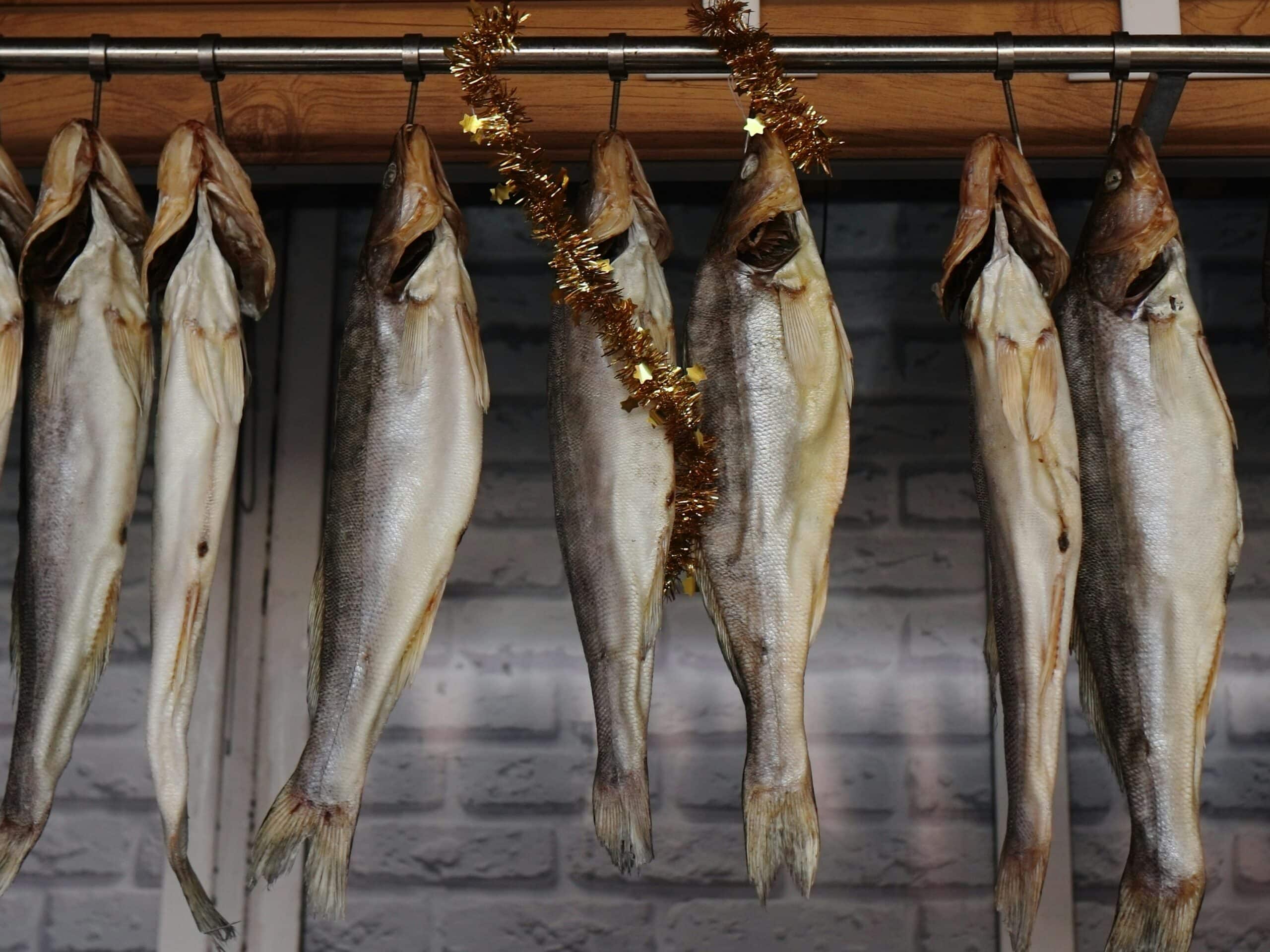 Several silvery whole fish hang by hooks from a metal rod against a white brick wall while gold tinsel drapes over them.