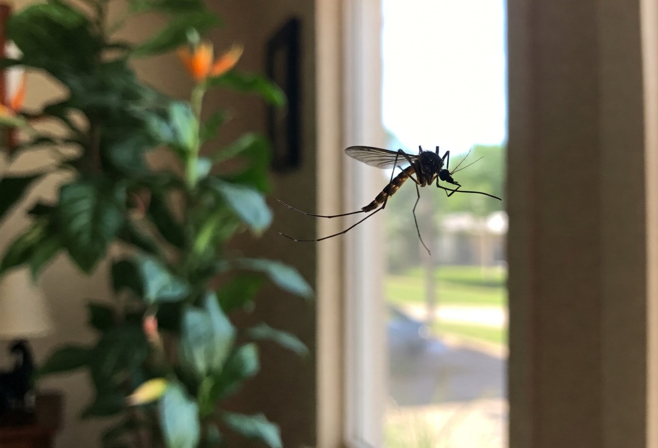 Ceiling Fans Reduce Mosquitoes